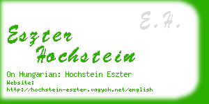 eszter hochstein business card